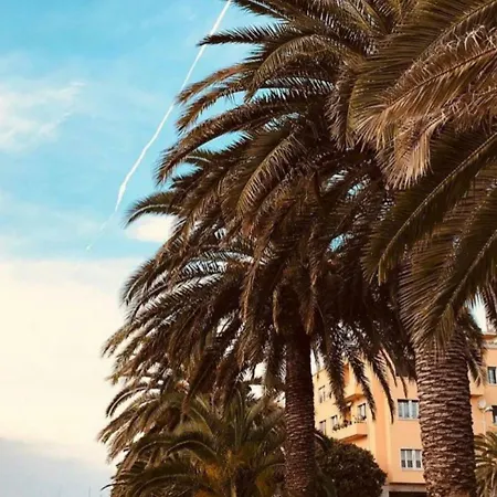 Aokor * Zadar